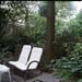 Tuin_B
